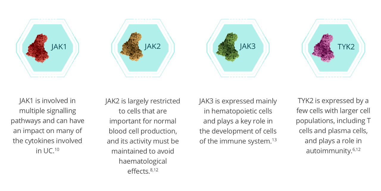 Regulation of the JAK-STAT pathway