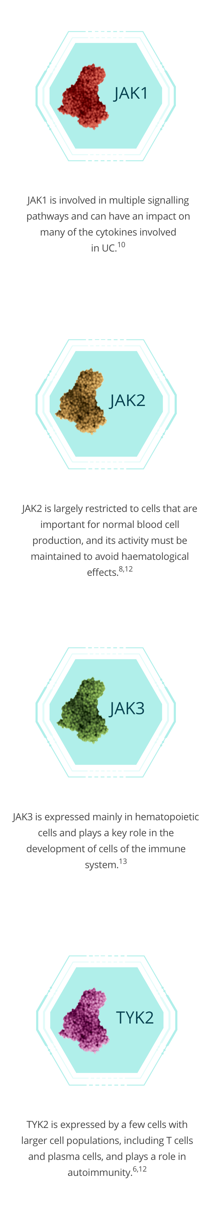 Regulation of the JAK-STAT pathway